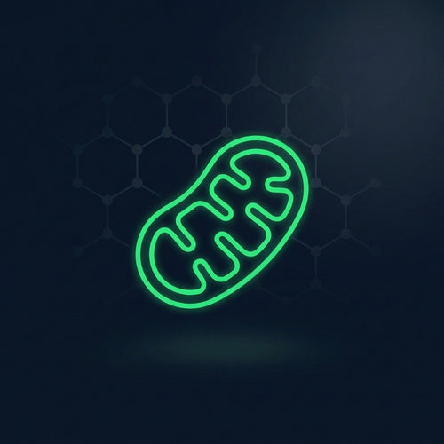 Cellular Energy Protocol, three-part cellular energy bundle, Biohacker